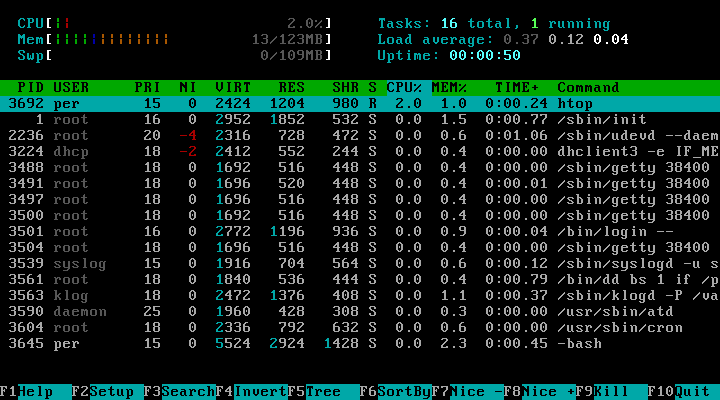 htop running in the terminal